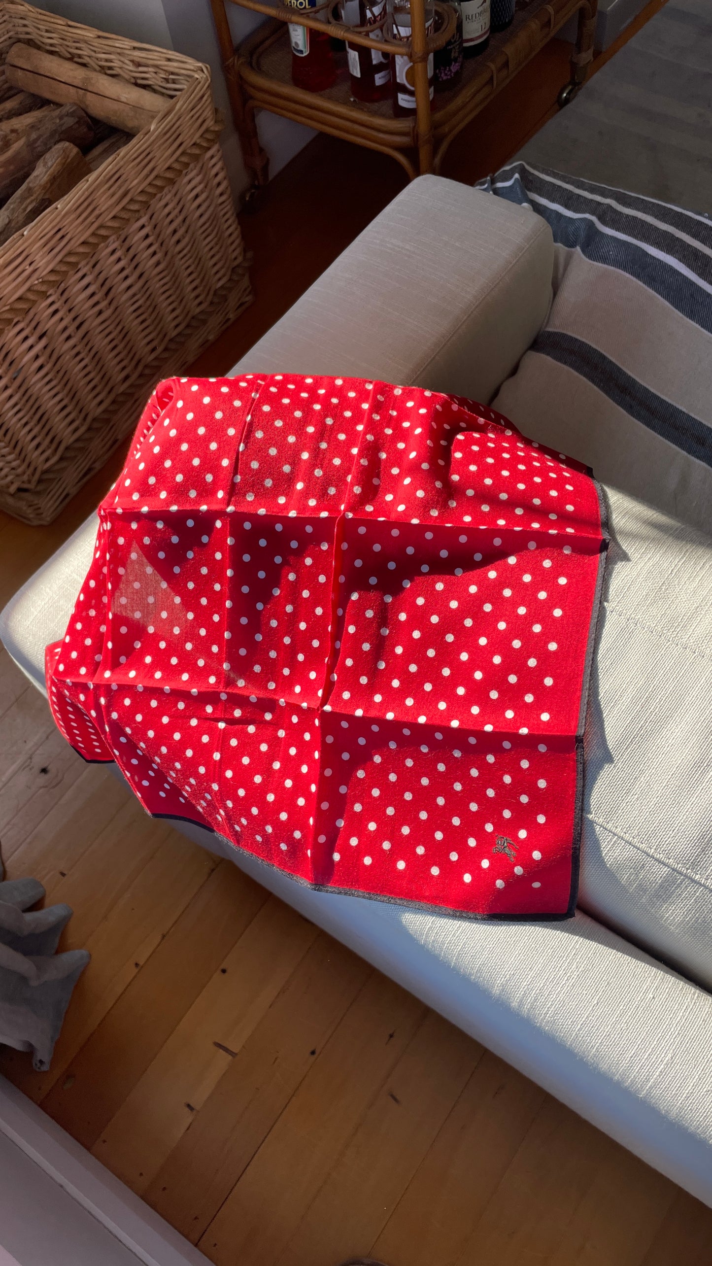 Burberry Polka Dot Scarf