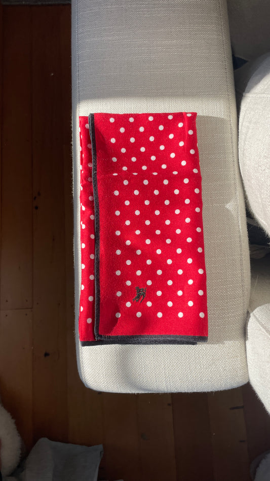 Burberry Polka Dot Scarf